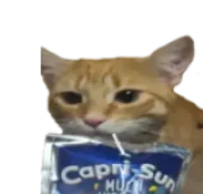 sipping
